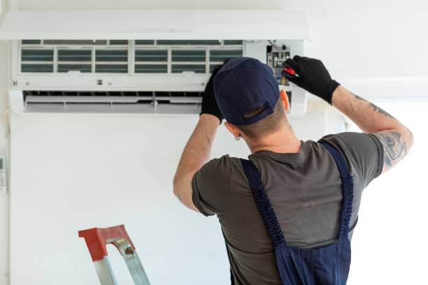 Best Air Duct Sanitizing Services  in Viola, NY